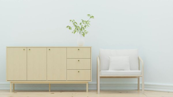 Guide d'entretien de vos plantes d'intérieur